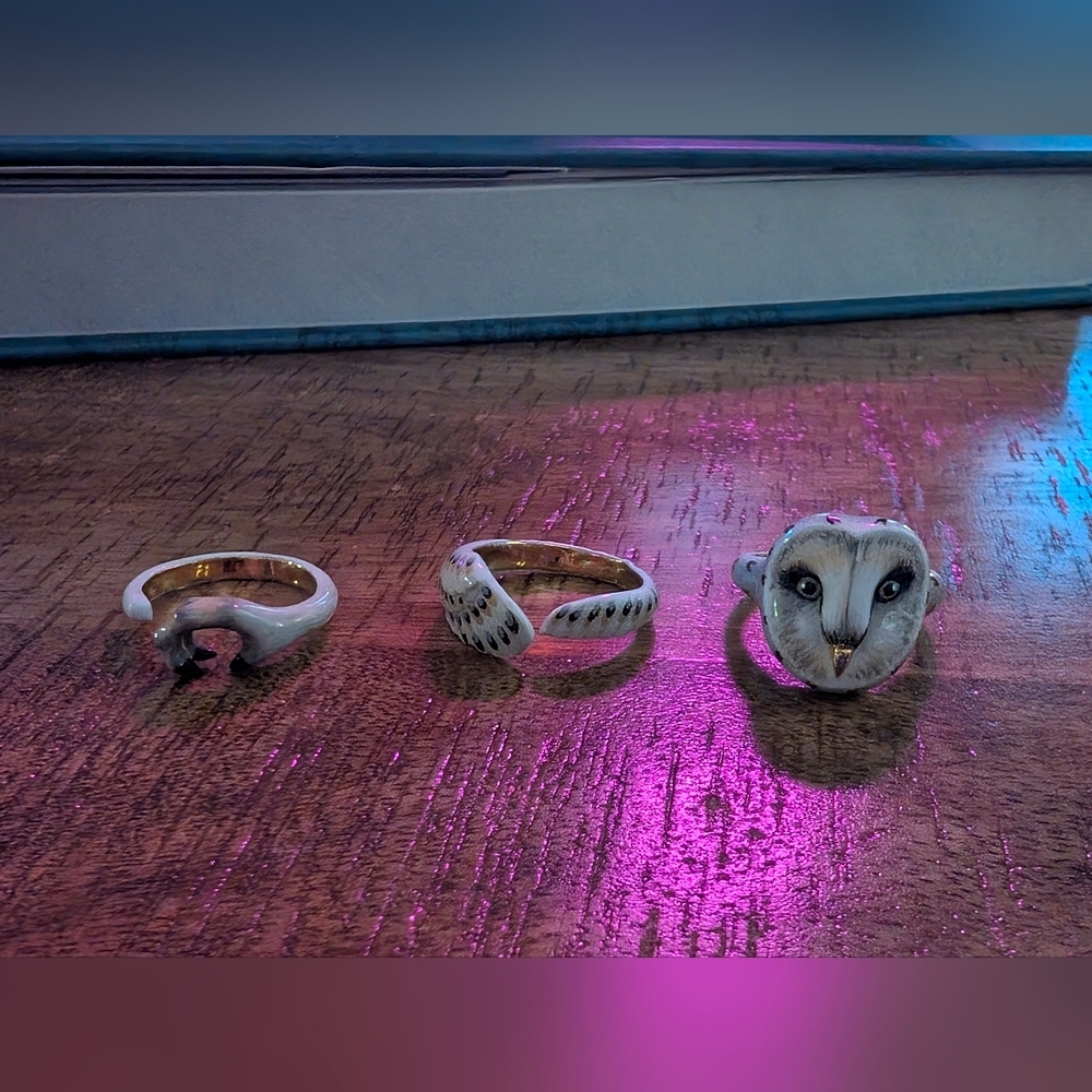 Three Piece Owl Ring (Size 6.5) - Picture 5 of 9